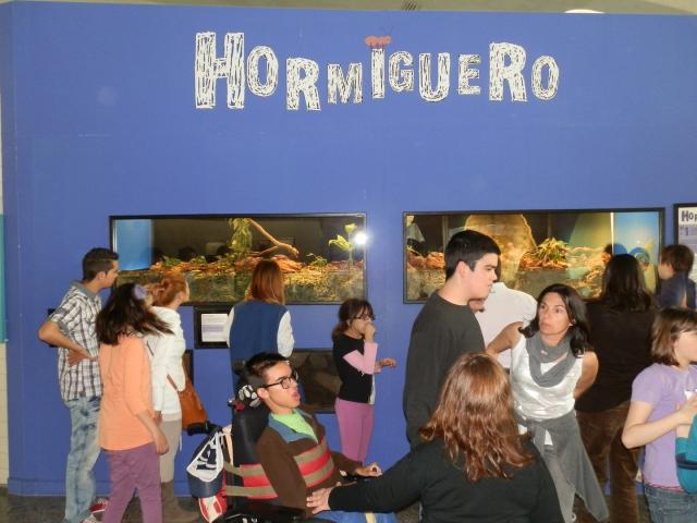 hormiguero